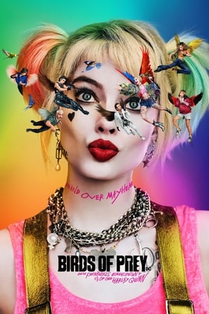 Birds of Prey (2020) Hindi (ORG) Dual Audio 720p HDRip [1.1GB] - Movierulz