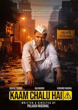 Kaam Chalu Hai 2024 Hindi Dual Audio WEB-DL 720p - 480p - 1080p