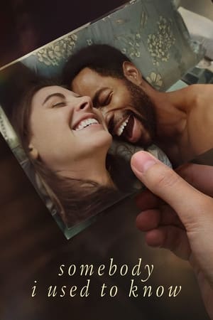 Somebody I Used to Know 2023 Hindi Dual Audio HDRip 720p – 480p - Movierulz
