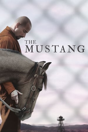 The Mustang (2019) Hindi Dual Audio 720p BluRay [900MB] - Movierulz