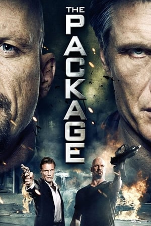 The Package (2013) Hindi Dual Audio 480p HDRip 350MB - Movierulz